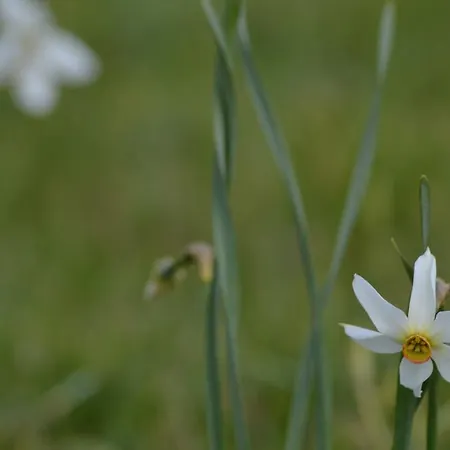 Apartmán Les Cimes *